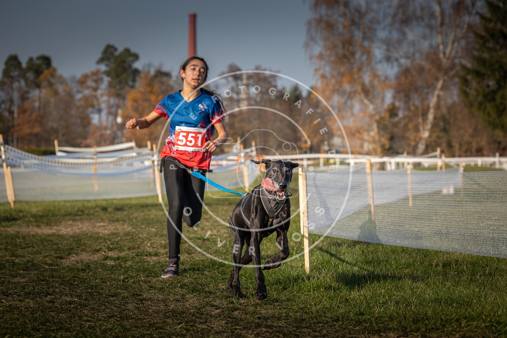 CaniXpix_0L8A9238 | Hundefotografie, Tierfotograf, Pfotenfotografie, Fotoshooting Hund, Hunde Portrait, Hundesport, Hundeportraits, Heideshooting, Hunde, Sportfotograf, Hundefotograf, Turnierhundsport, THS,  - Realisiert mit Pictrs.com