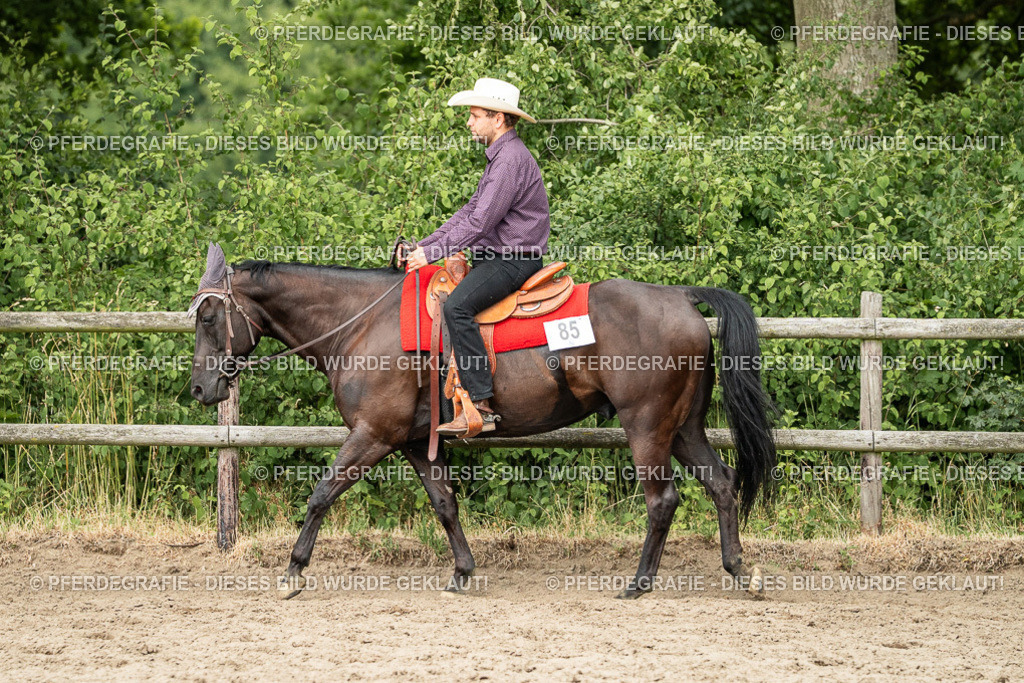 DSC03092 | Pferdegrafie