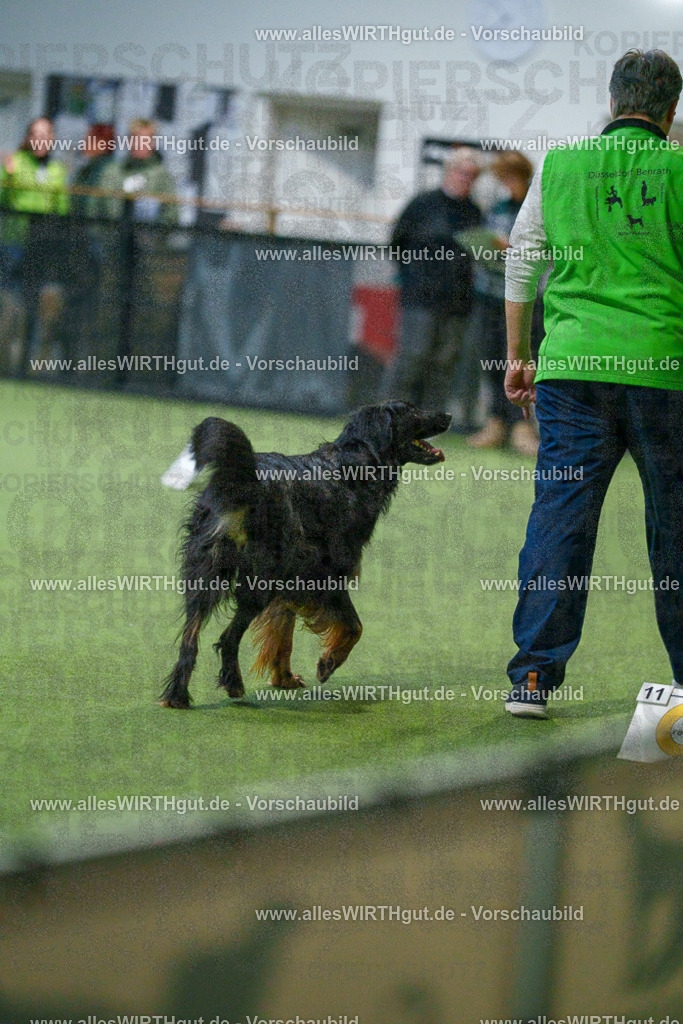 7R505367 | Professionelle Tierfotografie in Mönchengladbach von Daniel Wirth (allesWIRTHgut). Liebevolle & natürliche Bilder von Hunden & Katzen für unvergessliche Erinnerungen.