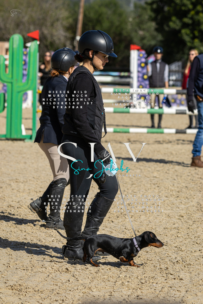 IMG_6353 | s-jay-photography - Realisiert mit Pictrs.com