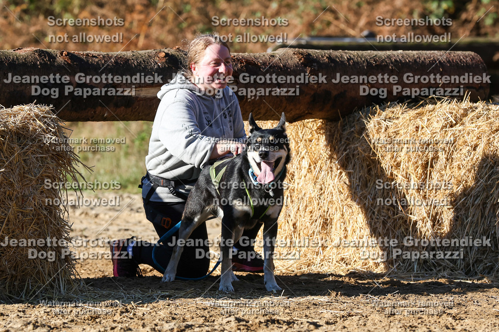 Dog Paparazzi - Strongdog 10-25-2008 | Dog Paparazzi Jeanette Grottendiek Fotografie & Videografie - Realisiert mit Pictrs.com