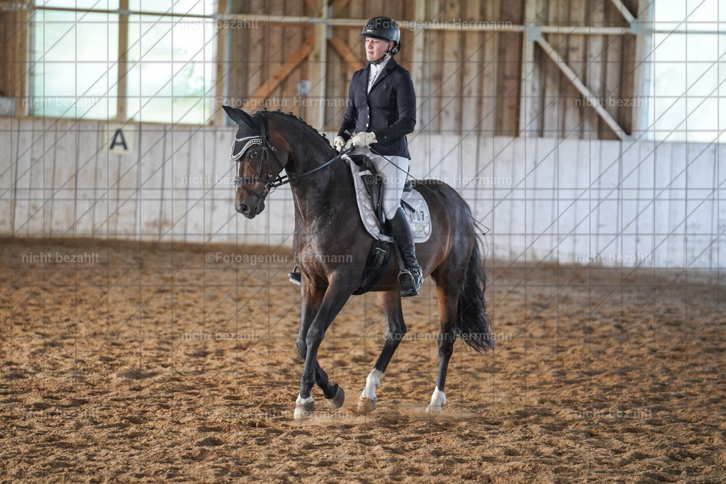 20230917-FAH09996 | Landsberg am Lech, 2023, Kaufbeuren, Kempten, Allgäu, Turnierfotografen Bayern, Fotoagentur Herrmann, Turnierbilder, Reitsport Fotos, Pferdefotograf, Augsburg, Bad Tölz, Dachau, Karlsfeld, Memmingen, Buchloe, Schwabmünchen