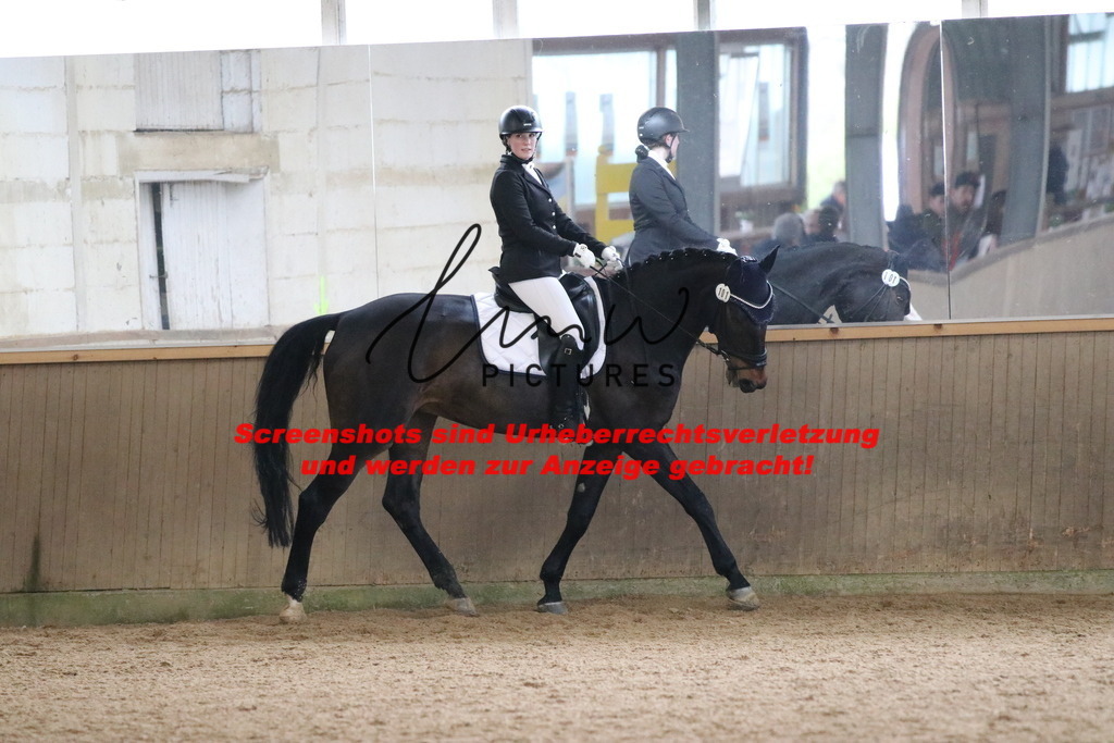 IMG_7548 | lmwpictures - Realisiert mit Pictrs.com