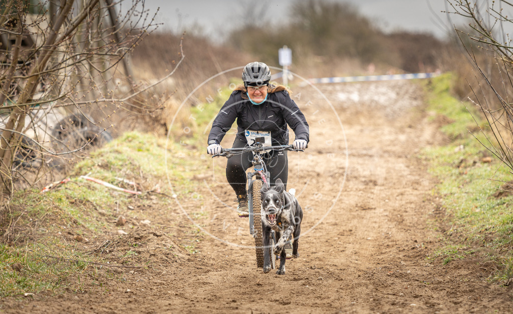 DV3A0737 | Hundefotografie, Tierfotograf, Pfotenfotografie, Fotoshooting Hund, Hunde Portrait, Hundesport, Hundeportraits, Heideshooting, Hunde, Sportfotograf, Hundefotograf, Turnierhundsport, THS,  - Realisiert mit Pictrs.com