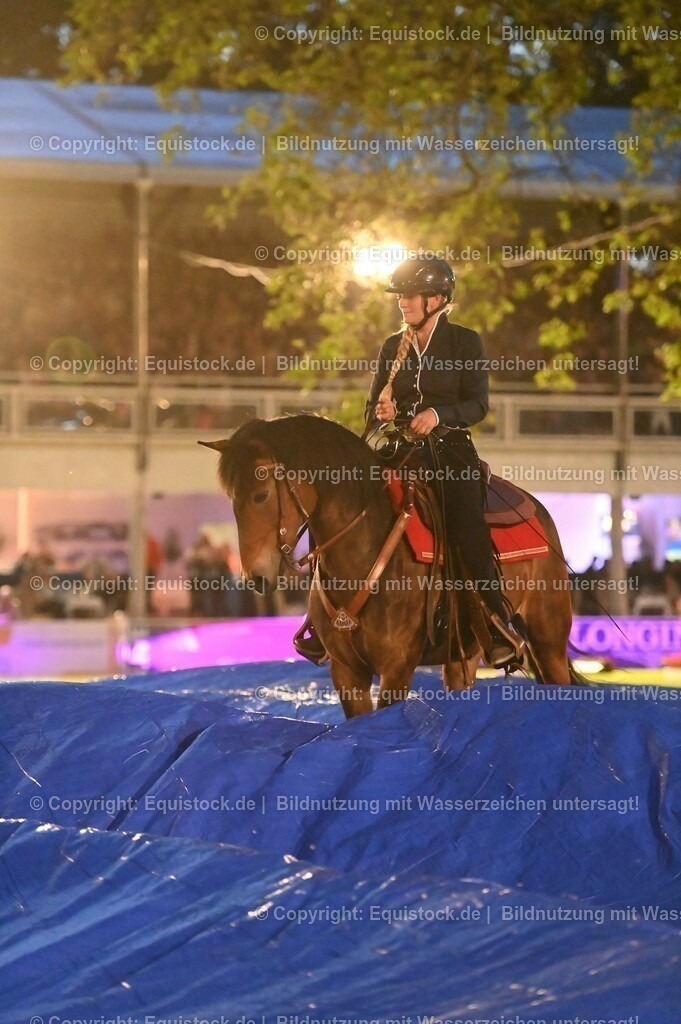 20230526_Pferdenacht_1010 | equistock