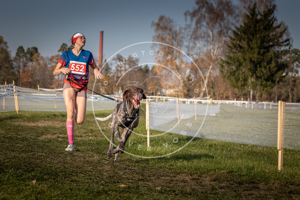 CaniXpix_0L8A9164 | Hundefotografie, Tierfotograf, Pfotenfotografie, Fotoshooting Hund, Hunde Portrait, Hundesport, Hundeportraits, Heideshooting, Hunde, Sportfotograf, Hundefotograf, Turnierhundsport, THS,  - Realisiert mit Pictrs.com