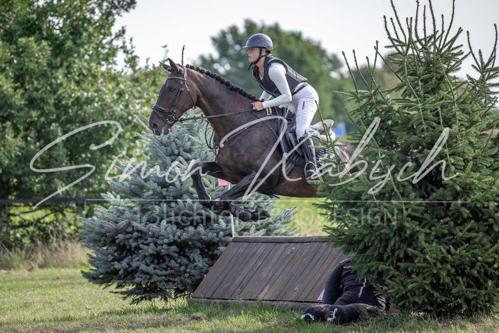 20250907-_3LI9299 | Tierfotografie Pferde, Hunde, Katzen, Haustiere.
Turnierfotografie Reitturniere, Reiten, Springreiten, Dressur in Hanau, dem Main-Kinzig-Kreis und dem Rhein-Main- Gebiet um Frankfurt