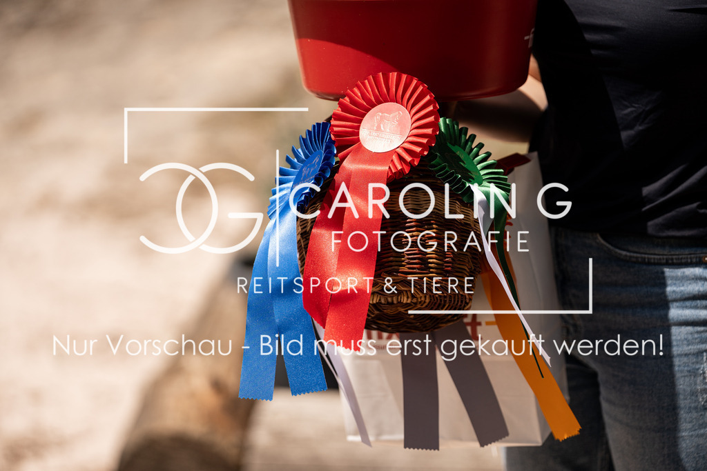 DSC04480 | Turnierfotografin Carolin Gieschke, Turnierfotografie Carolin G Fotografie, Turnierfotos Kirchheim/Teck, Esslingen, Stuttgart, Bodenseekreis