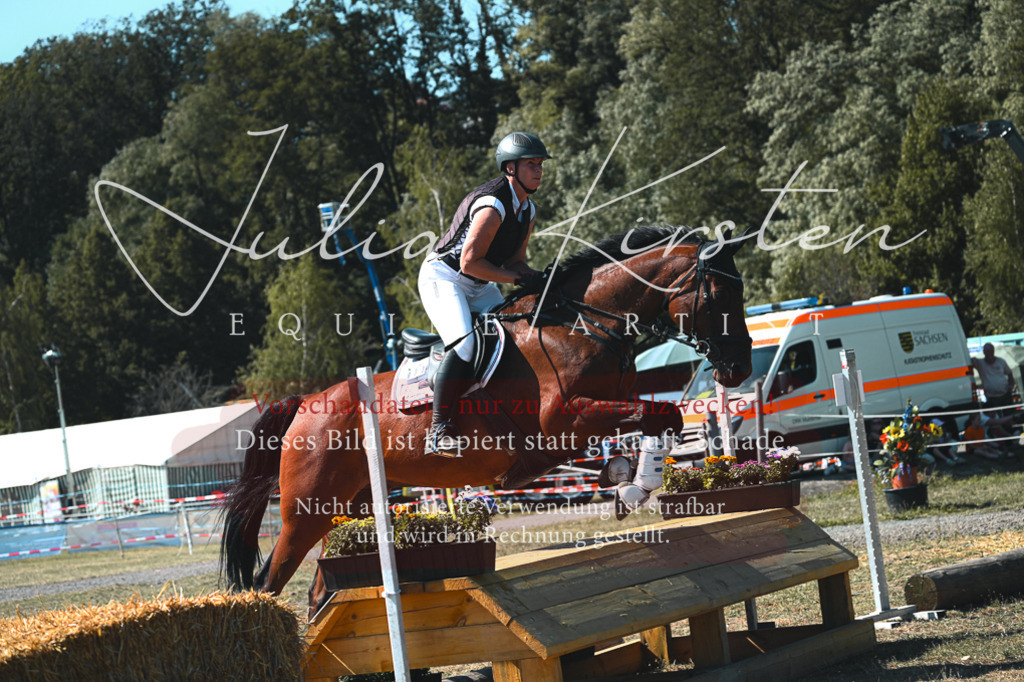 DSC_8244 | Pferde- und Turnierfotografie in Westsachsen. Pferdeportraits, Auftragszeichnungen und intuitive Kunst.