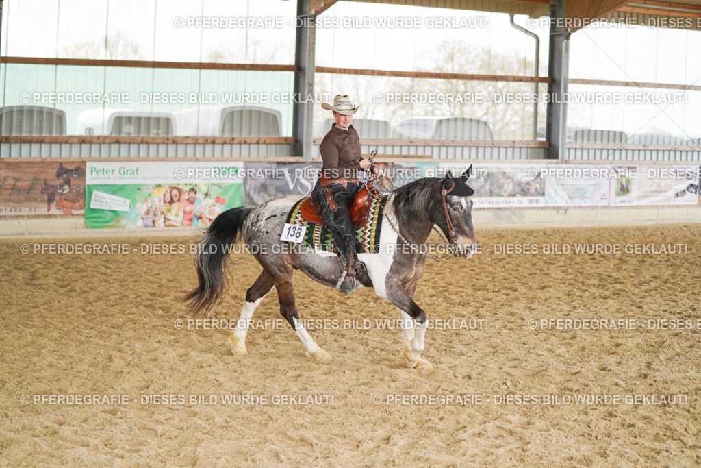 DSC02113 | Pferdegrafie