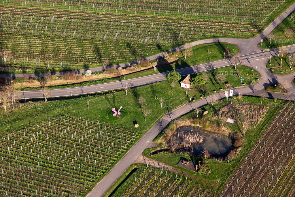 Luftbild: Bildhäusel im Frühjahr im Ortsteil SaintMartin in Sankt Martin im Bundesland Rheinland-Pfalz in Deutschland. Foto: IMG_140005.jpg vom 14.03.2024 durch Werner Riehm/FLY-FOTO.de