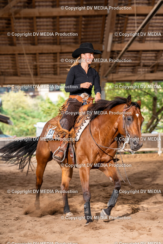 Erbach Tag 1-1107 | dv-media-shop - Realisiert mit Pictrs.com