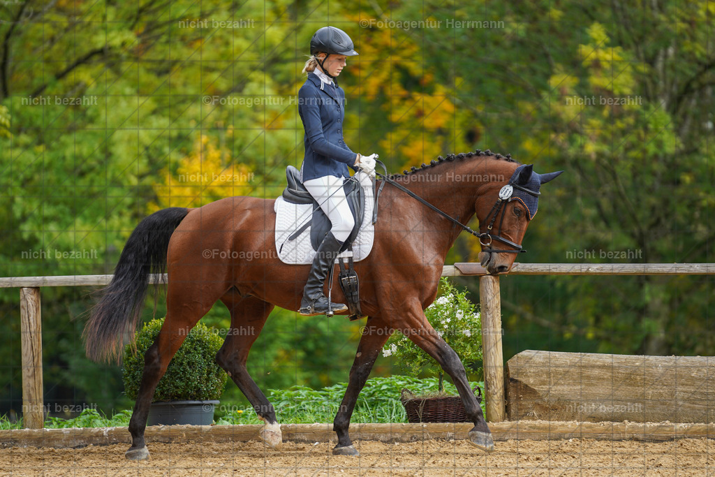 20221007-FAH09857 | Diessen am Ammersee, 2022, Dressur- und Springturnier, Reitsportbilder, Turnierfotografen Bayern, Pferdefotografen, Fotoagentur Herrmann, Turnierbilder