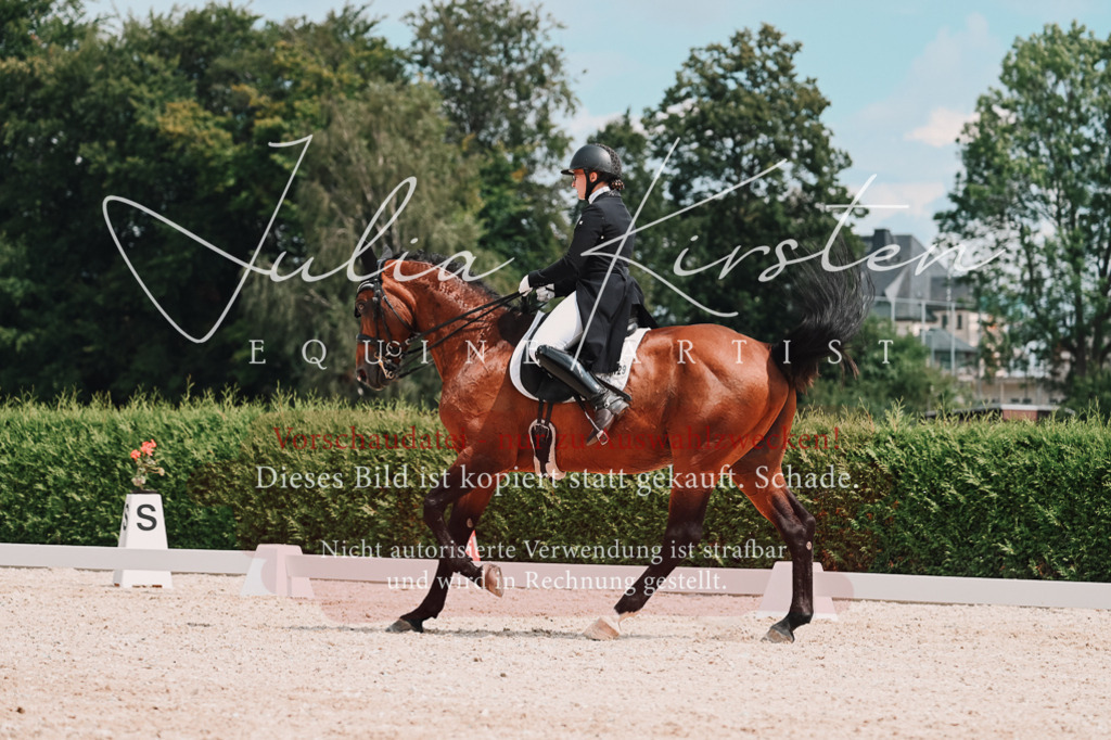 DSC_4380 | Pferde- und Turnierfotografie in Westsachsen. Pferdeportraits, Auftragszeichnungen und intuitive Kunst.