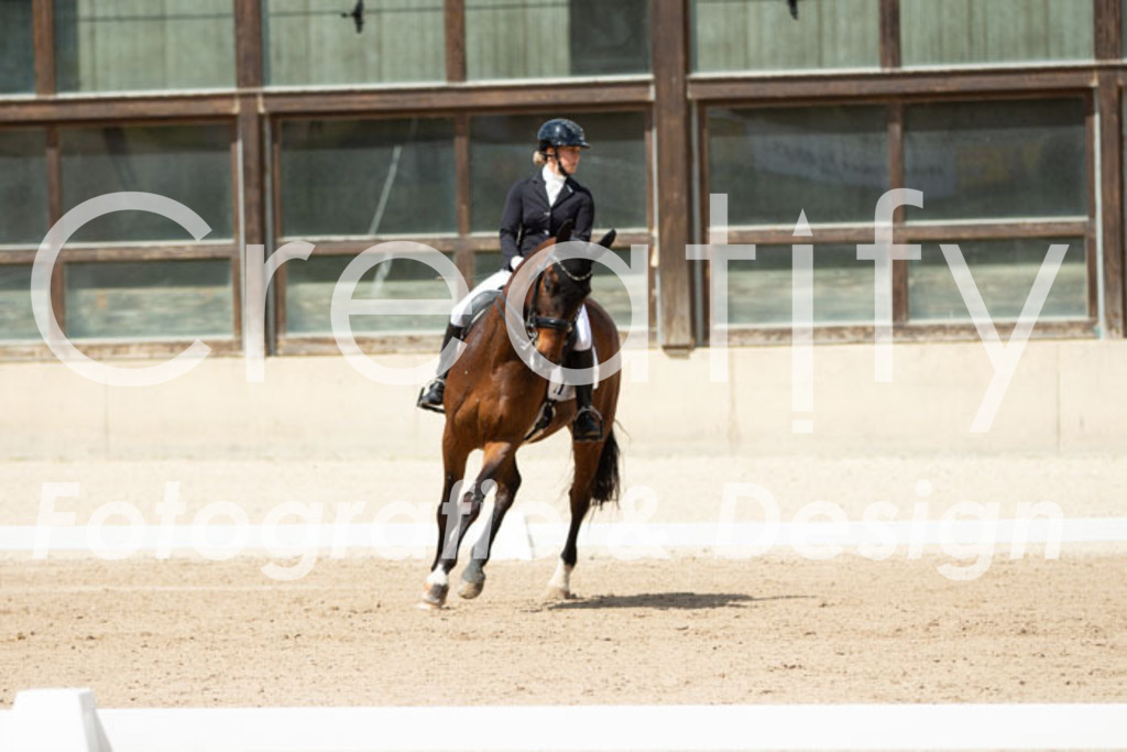 IMG_5777 | Creatify Fotografie