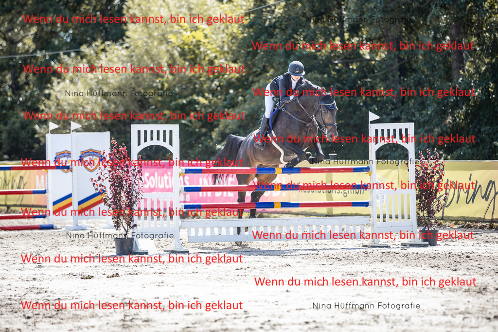 BK1A6537 | Turnierbilder Turnierfotos Nina Hüffmann Turnierfotografie Pferdefotografie Tierzeichnung Haustierzeichnung Pferdezeichnung Hundezeichnung Videograf  - Realisiert mit Pictrs.com
