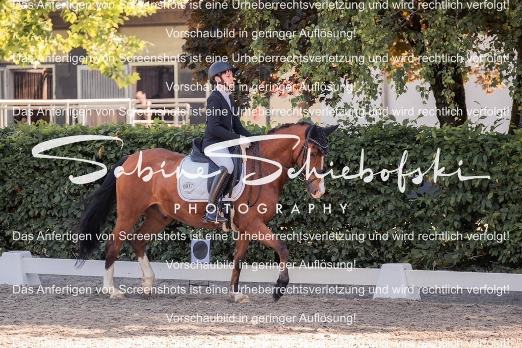 2025_05_31_DSCF3083 | People- und Tierfotografie, Imageaufnahmen, Veranstaltungsfotografie und Wandbilder aus der Natur ★ Made in Germany ✔️ Druck + Downloads ✔️ Naturfotografie in Top Qualität ★ schneller Versand, weltweite Lieferung! - Realisiert mit Pictrs.com