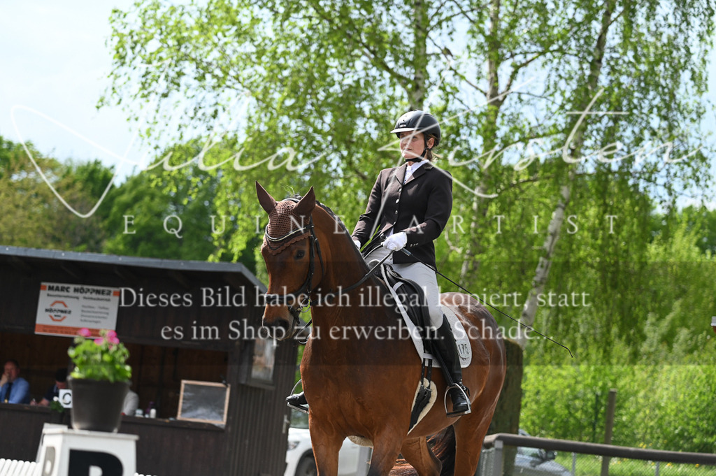 20230512_JK-Röhrsdorf-08-215 | Pferde- und Turnierfotografie in Westsachsen. Pferdeportraits, Auftragszeichnungen und intuitive Kunst.