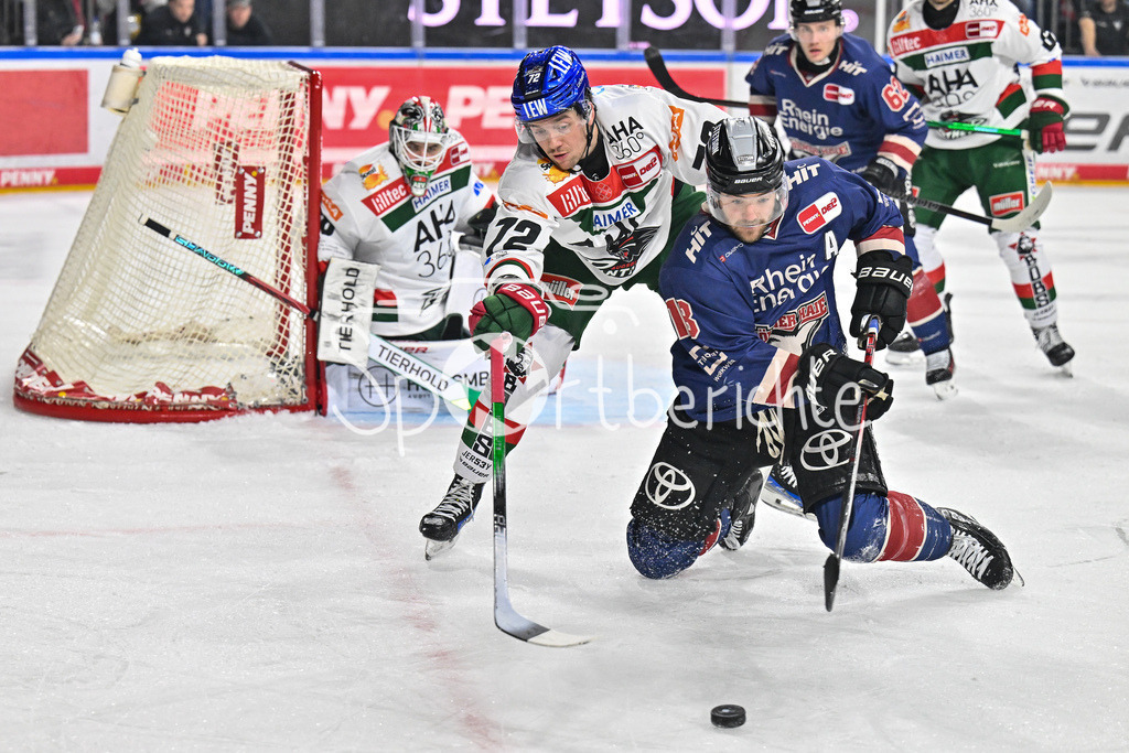 Kölner Haie - Augsburger Panther | im Duell Riley McCOURT (Augsburger Panther #72) und Josh CURRIE (Koelner Haie #18) / Zweikampf / DEL: Koelner Haie - Augsburger Panther, Lanxess Arena am 05.01.2025