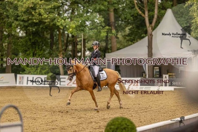 28-8-26 5j DRE-232 | mandyhollmannphotographie