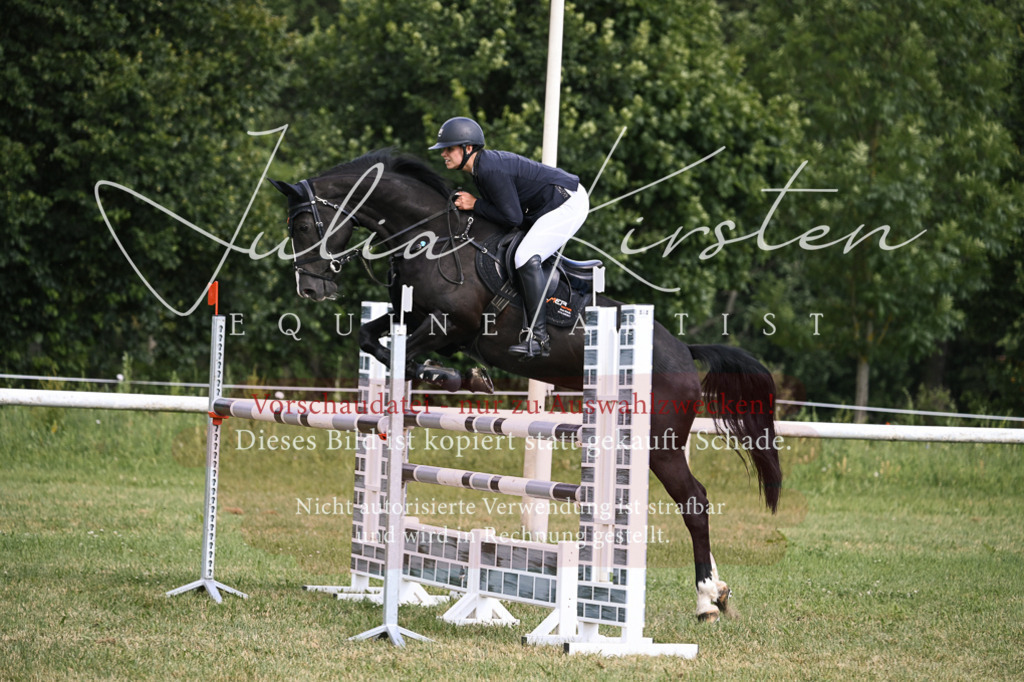 DSC_0820 | Pferde- und Turnierfotografie in Westsachsen. Pferdeportraits, Auftragszeichnungen und intuitive Kunst.