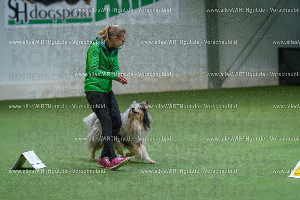 7R506232 | Professionelle Tierfotografie in Mönchengladbach von Daniel Wirth (allesWIRTHgut). Liebevolle & natürliche Bilder von Hunden & Katzen für unvergessliche Erinnerungen.