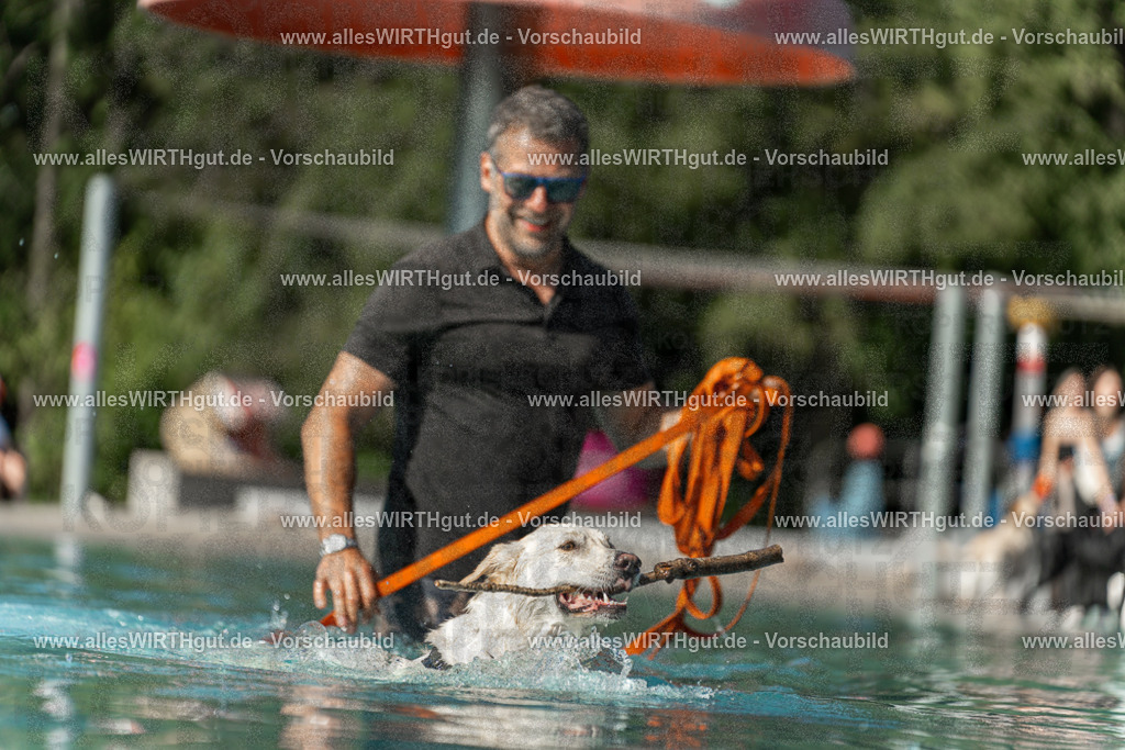 Hundeschwimmen_Volksbad_2026-allesWIRTHgut_Tierfotografie-2609061545-7R501788 | Professionelle Tierfotografie in Mönchengladbach von Daniel Wirth (allesWIRTHgut). Liebevolle & natürliche Bilder von Hunden & Katzen für unvergessliche Erinnerungen.