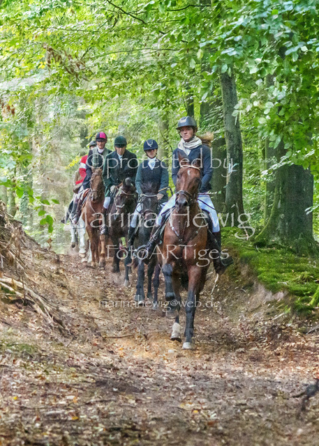 Jagd Perdoel_MarinaHewigMCH04707 | Fotografie, FotoArt, PferdesportArt, Pferdesportfotografie, Landschaftsfotografie, Reisefotografie, Reise, Pferde - Realisiert mit Pictrs.com