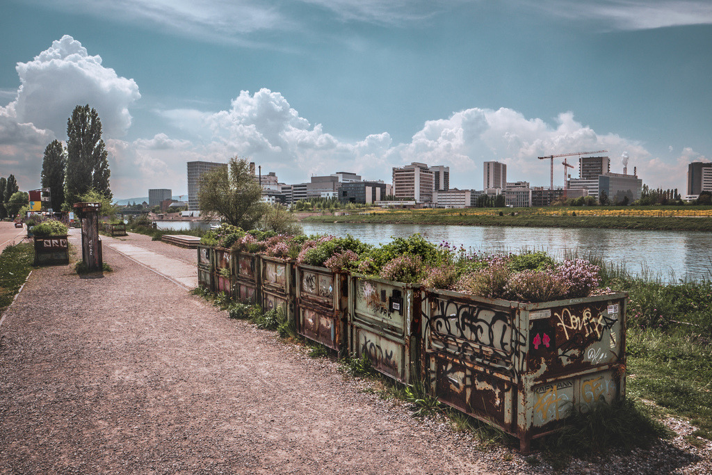 Uferstrasse entlang am Rhein, Basel | colour, farbig - Realisiert mit Pictrs.com