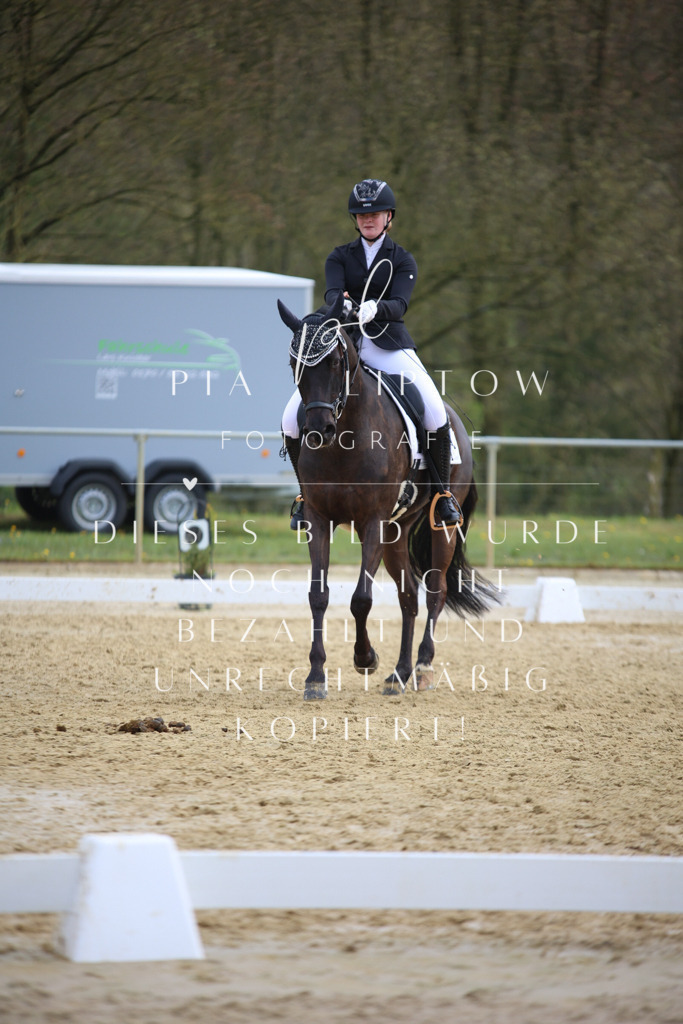 IMGT7022 | pl-fotografie