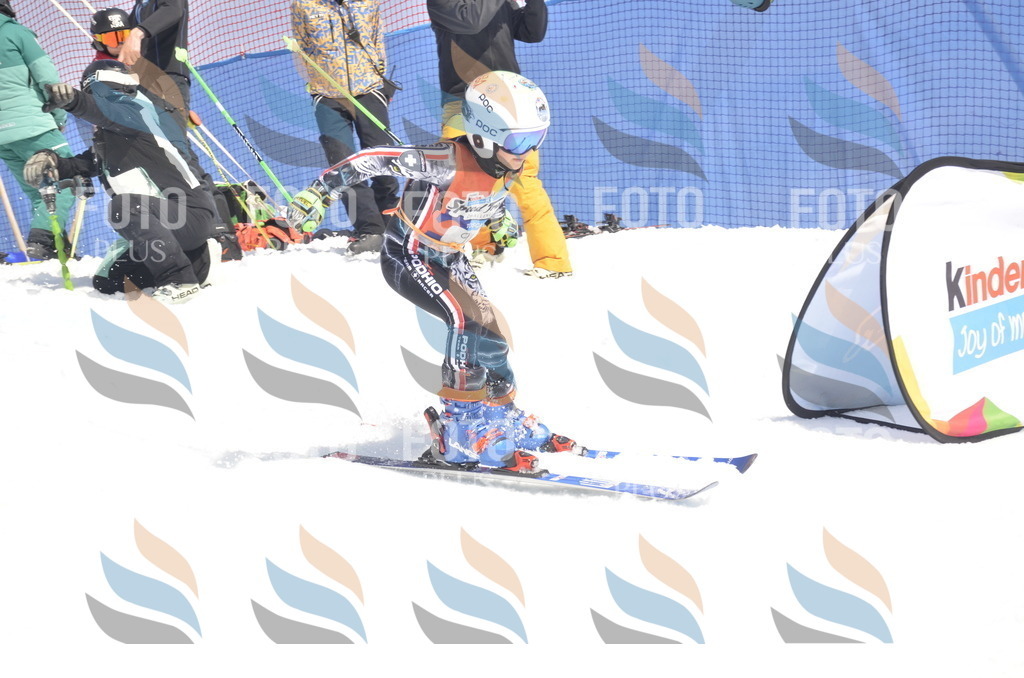 _ELE9347 | holidayphoto