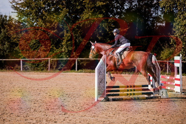 2026_10_03_Siefer-Hof_155525_Z81_74681534 | Professionelle Reitsport-, Turnier- und Eventfotografie von Robert Broda. Galerien mit ausgewählten und bearbeiteten Bildern direkt online ansehen und bestellen.