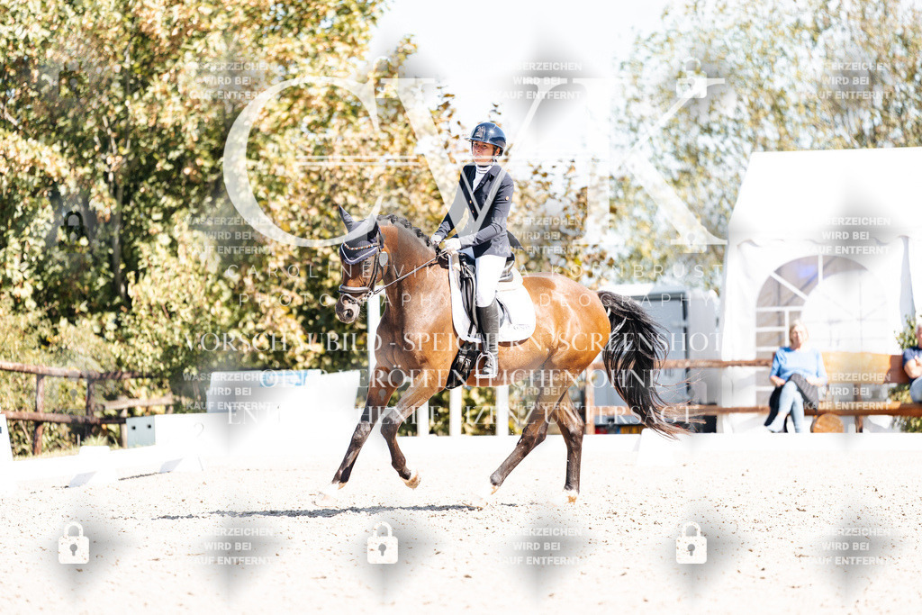 CK903941 | Turnierfotografie Pferdefotografie Trier Rheinland-Pfalz Pferdesport Reitsport Tierfotografie Sportfotografie Pferdevideo Pferdevideografie Equestrianvideography equestrianphotography  - Realisiert mit Pictrs.com