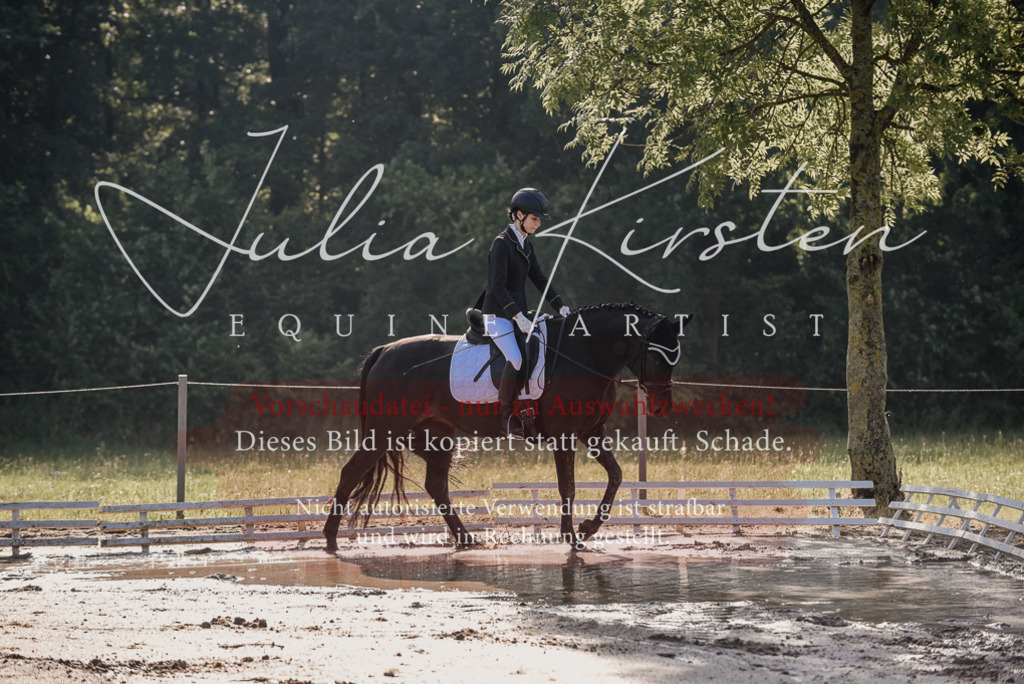 DSC_7771 | Pferde- und Turnierfotografie in Westsachsen. Pferdeportraits, Auftragszeichnungen und intuitive Kunst.