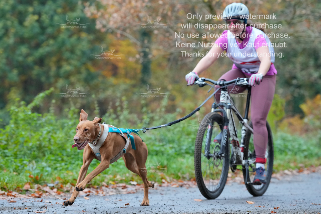 AusschnitteSo-47 | stephaniefillaphotographie - Realisiert mit Pictrs.com