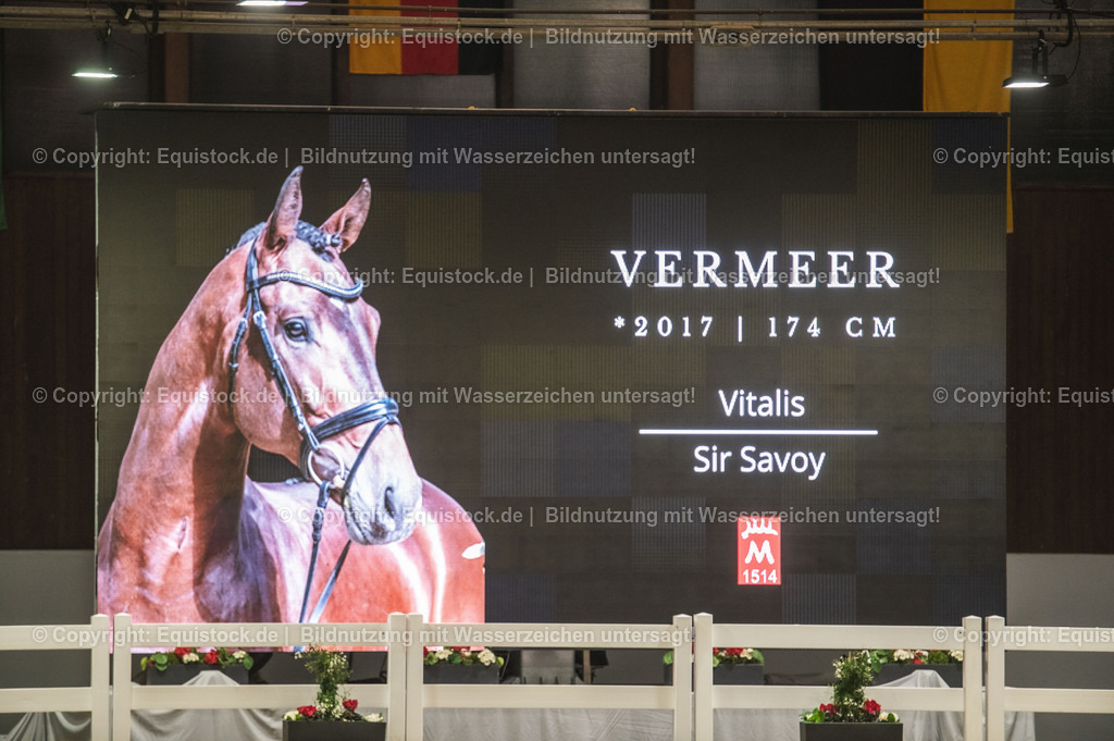 20240302_Hengstvorstellung_Marbach_TOMsPiC_1191 | equistock