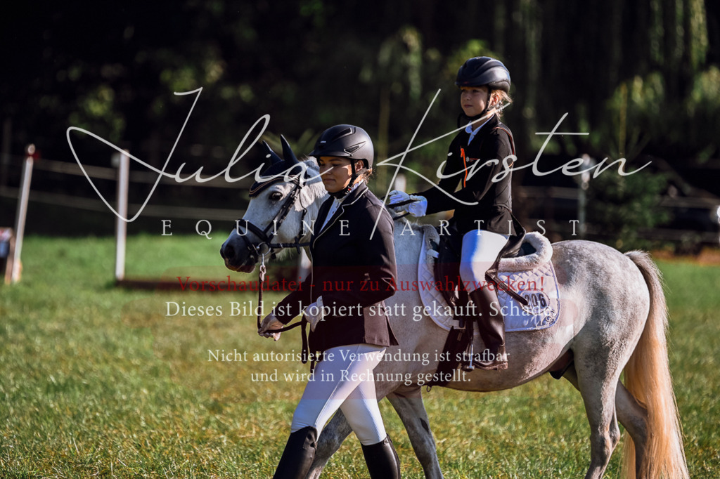 DSC_0404 | Pferde- und Turnierfotografie in Westsachsen. Pferdeportraits, Auftragszeichnungen und intuitive Kunst.