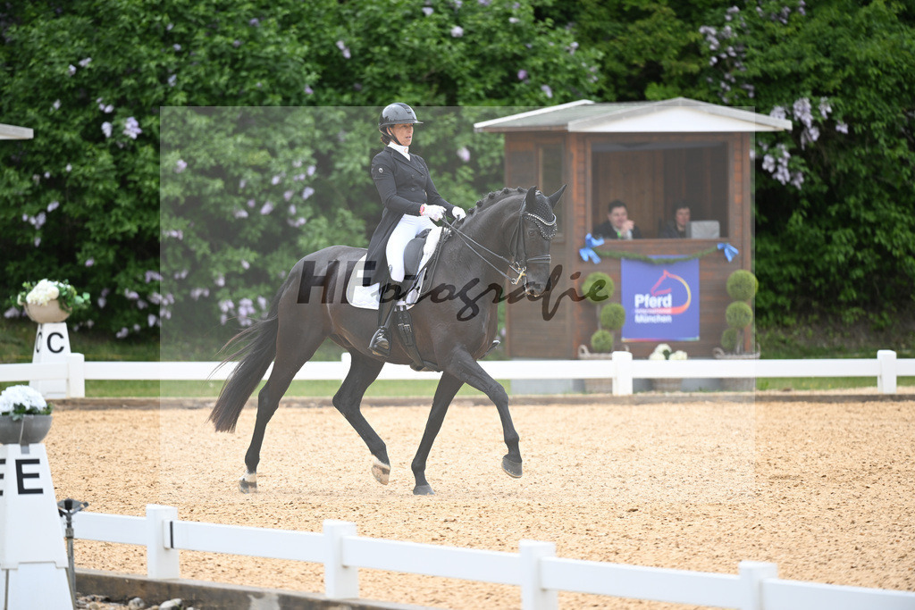 Holzmayr_Johnsons_26261222 | hf-fotografie - Realisiert mit Pictrs.com