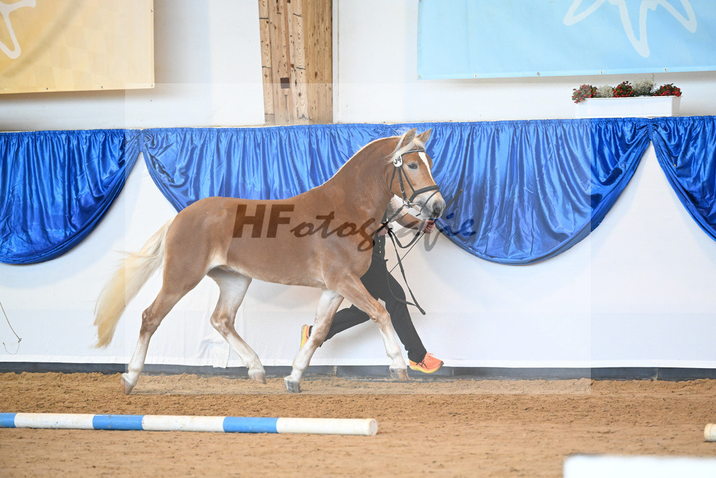Kat-Nr. 34 Willis Prinz v. Willi V_Gruendl_60220881 | hf-fotografie - Realisiert mit Pictrs.com