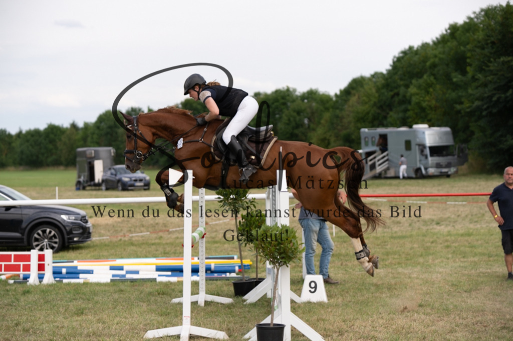 A7V03001 | Pferdefotograf