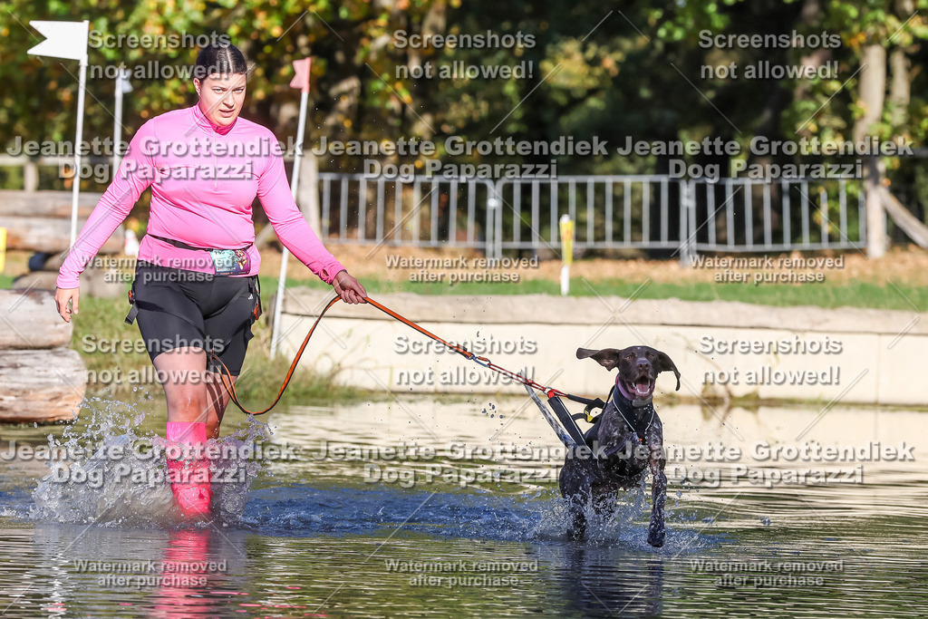 Dog Paparazzi - Strongdog 10-25-8923 | Dog Paparazzi Jeanette Grottendiek Fotografie & Videografie - Realisiert mit Pictrs.com