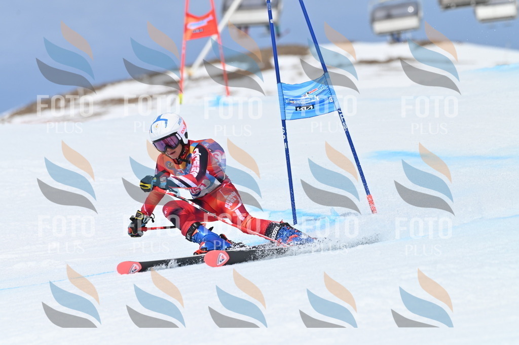 BGV_1902 | holidayphoto