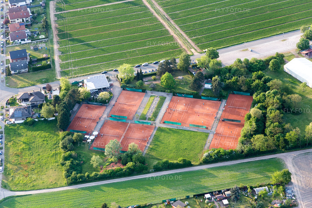 Luftbild: Tennisplatz Sportanlage des Tennisclub Rot-Weiss in Lampertheim im Bundesland Hessen in Deutschland. Foto: IMG_088282.jpg vom 09.05.2016 durch Werner Riehm/FLY-FOTO.de