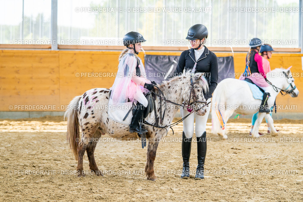 DSC00757 | Pferdegrafie