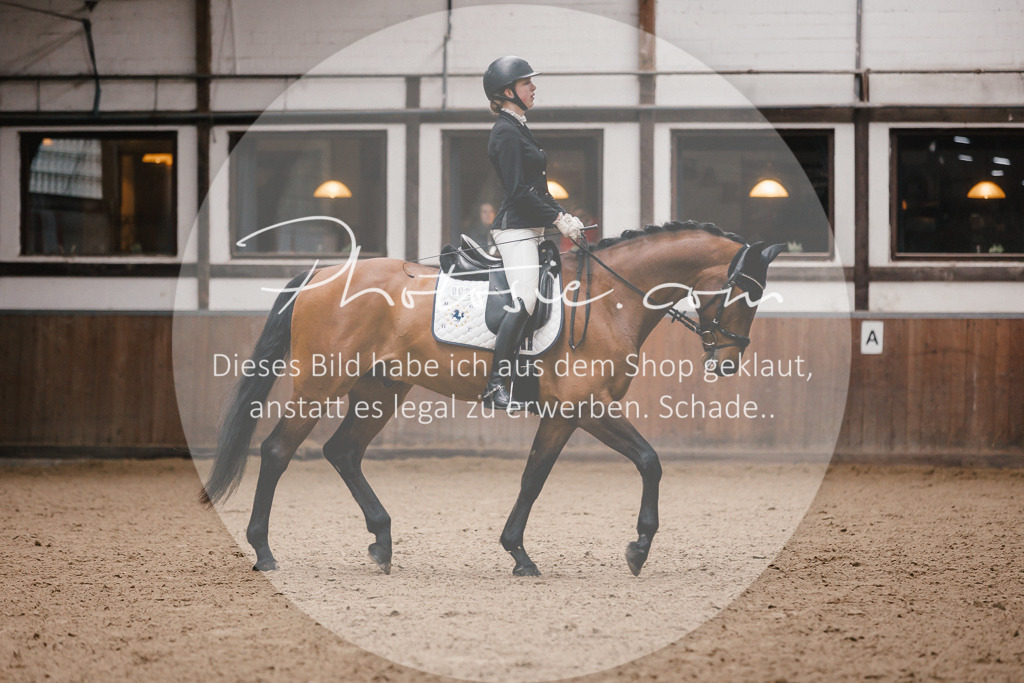 3I6A7203 | Stimmungsvolle Portraits und Reitsportfotografie im Ruhrgebiet und im Münsterland.

Pferdefotografie, Hundefotografie, Tierfotografie, Reportagen, Portraits von Tier und Mensch, Turnierfotografie in Bochum, Recklinghausen, Marl, Haltern am See, Dülmen.. - Realisiert mit Pictrs.com