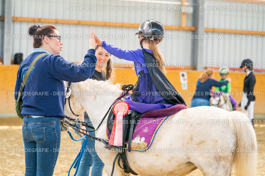 DSC00377 | Pferdegrafie