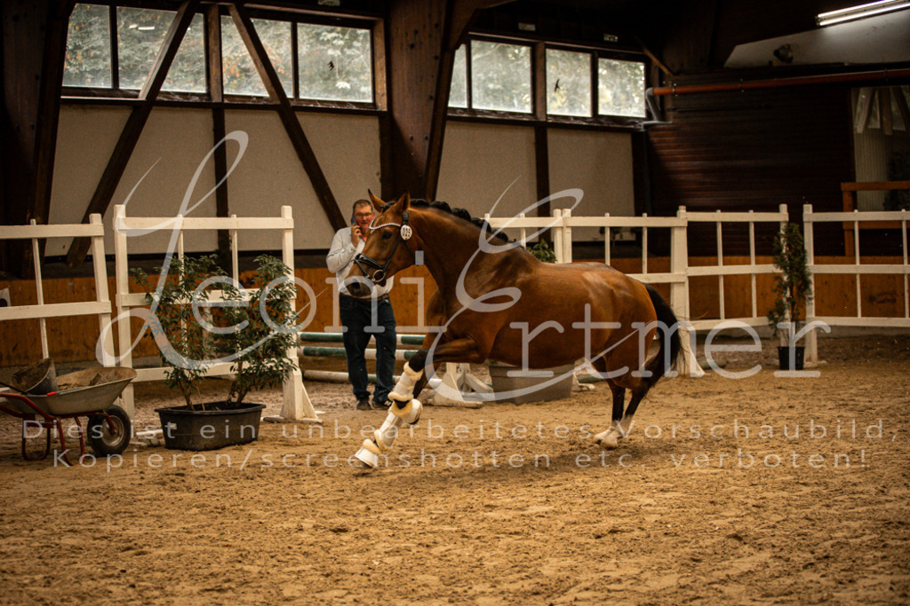 2FS_L00144 | Leoni Ertmer Photography - Realisiert mit Pictrs.com