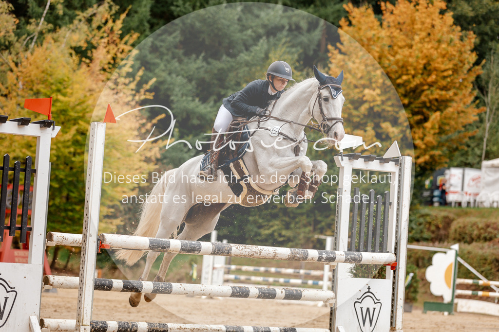 3I6A6836 | Stimmungsvolle Portraits und Reitsportfotografie im Ruhrgebiet und im Münsterland.

Pferdefotografie, Hundefotografie, Tierfotografie, Reportagen, Portraits von Tier und Mensch, Turnierfotografie in Bochum, Recklinghausen, Marl, Haltern am See, Dülmen.. - Realisiert mit Pictrs.com