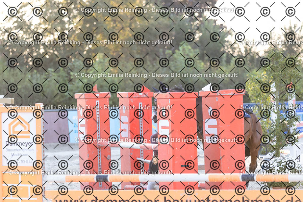 CL5A3011 | Emilia Reinking Fotografie - Realisiert mit Pictrs.com