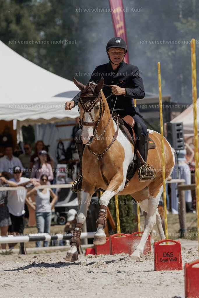 WE_SP_Stoib_344_PI2025_1893 | Pferd International München 2025